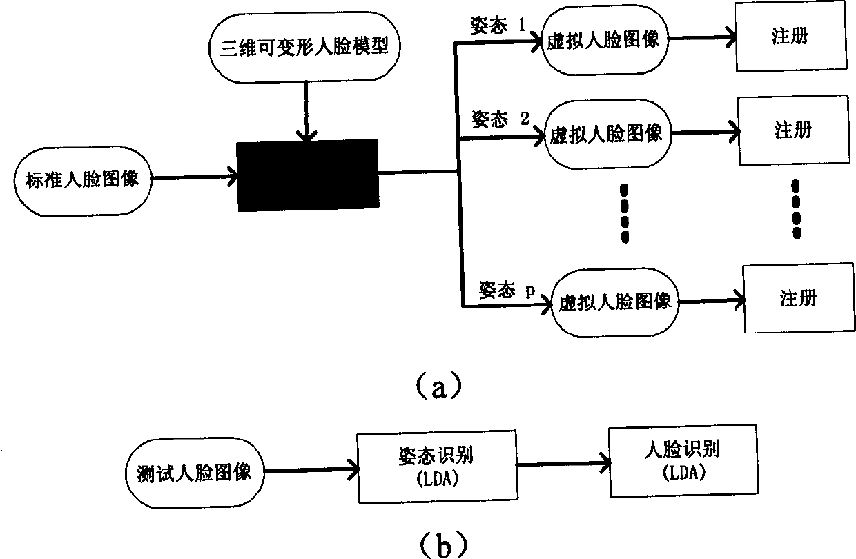 Human face recognition method based on human face statistics