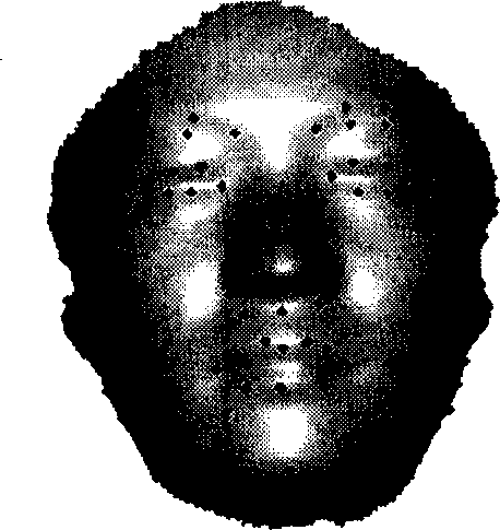 Human face recognition method based on human face statistics