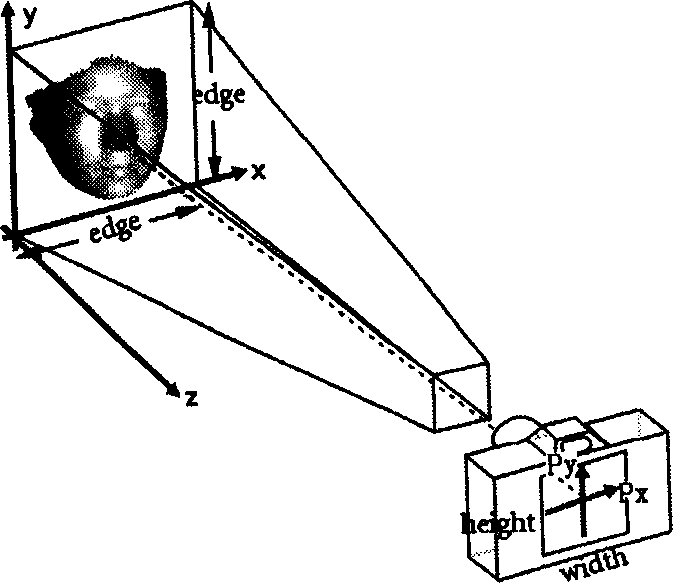 Human face recognition method based on human face statistics