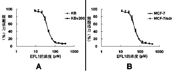 Application of euphoriafactor L1 in aspect of preparation of multidrug resistance reversal agent for tumors