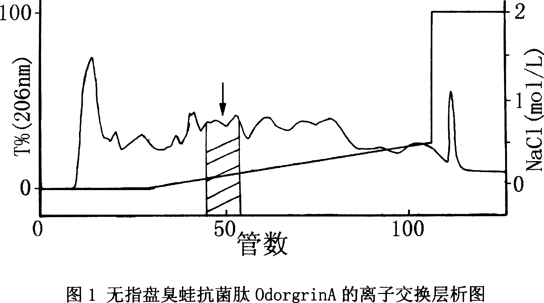 Rana grahami boulenger antibiotic peptide, preparation method and application thereof