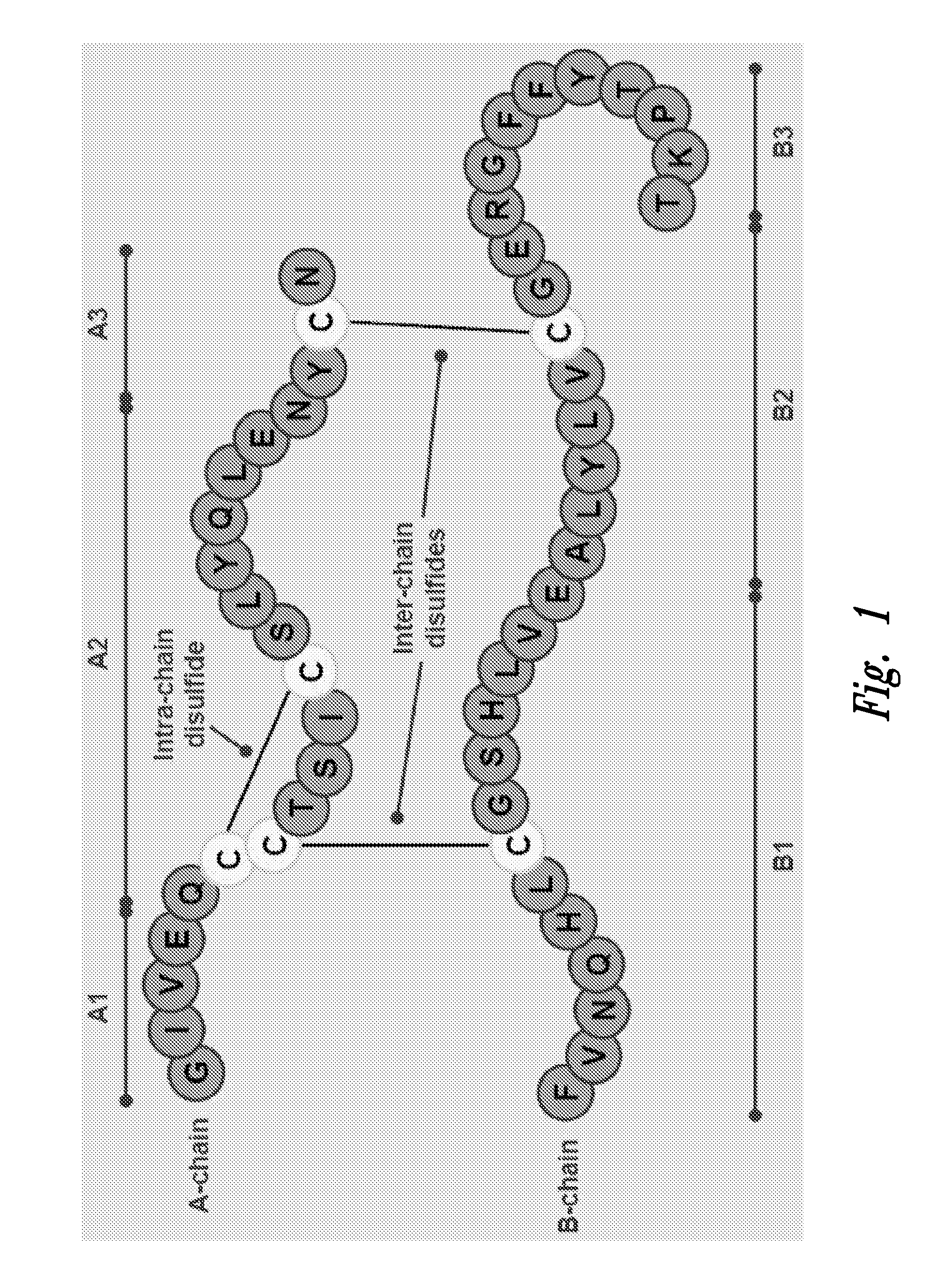 Polypeptide disulfide bond analysis