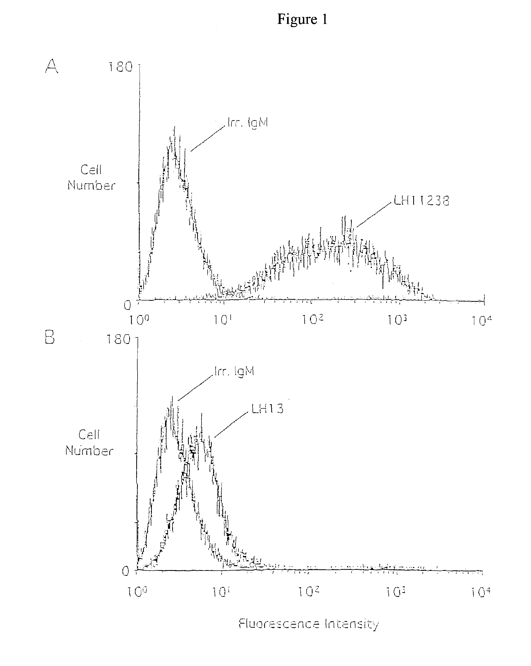 Tumor specific monoclonal antibodies