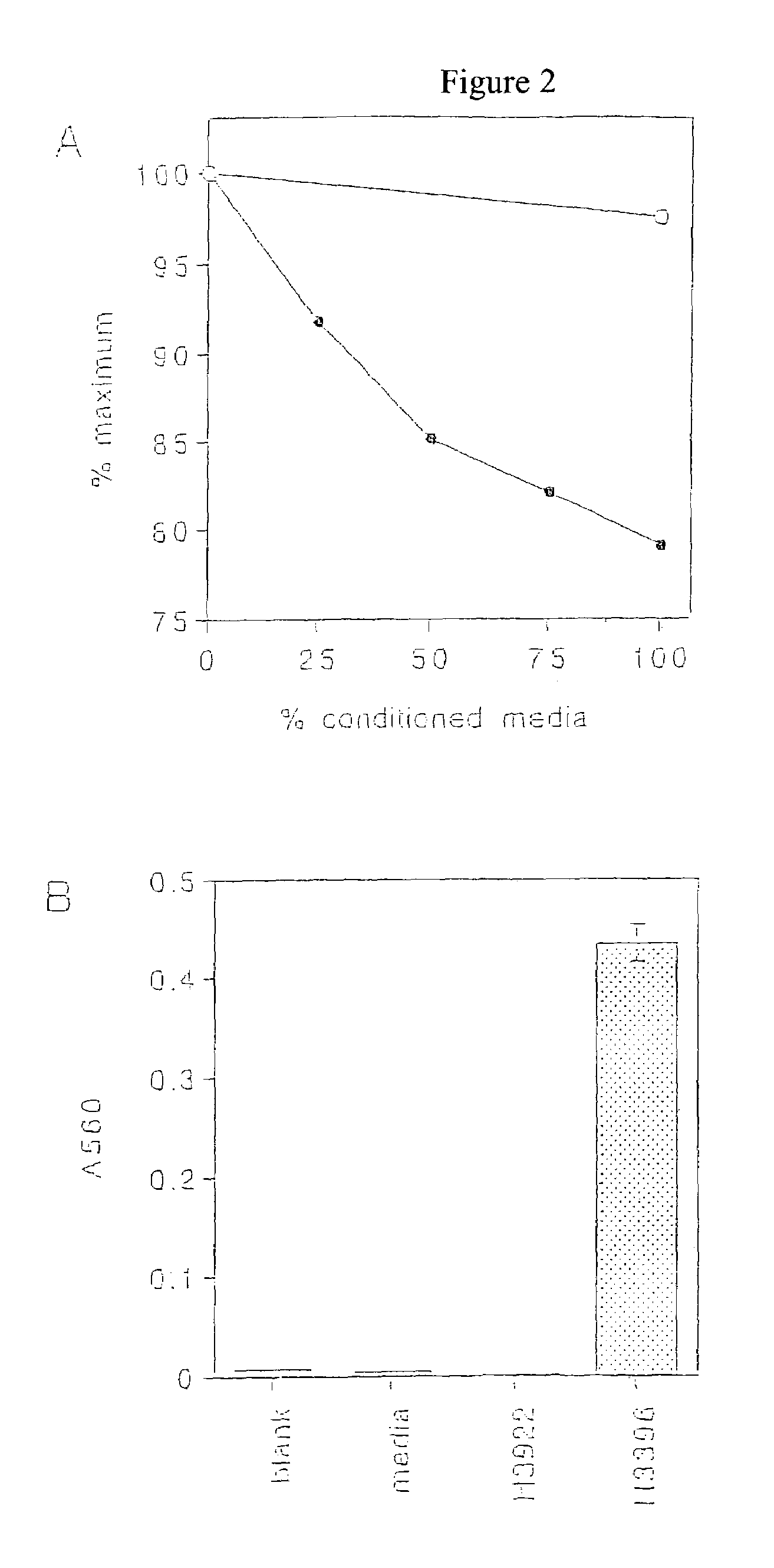 Tumor specific monoclonal antibodies