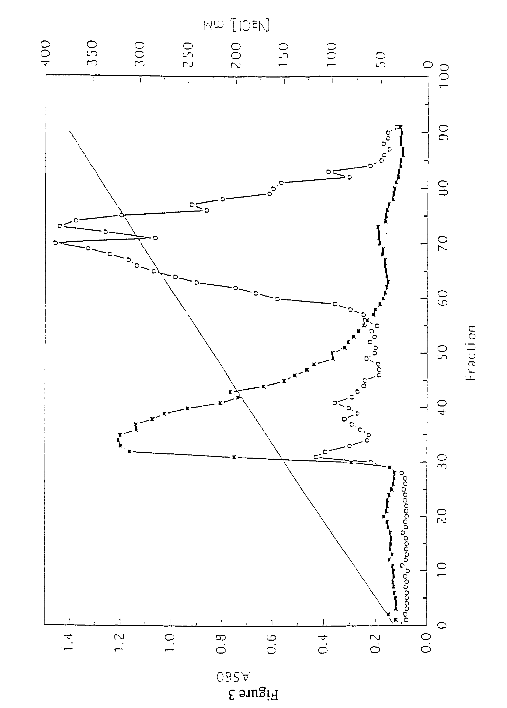 Tumor specific monoclonal antibodies