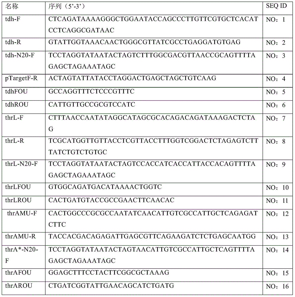 L-threonine genetic engineering production bacteria