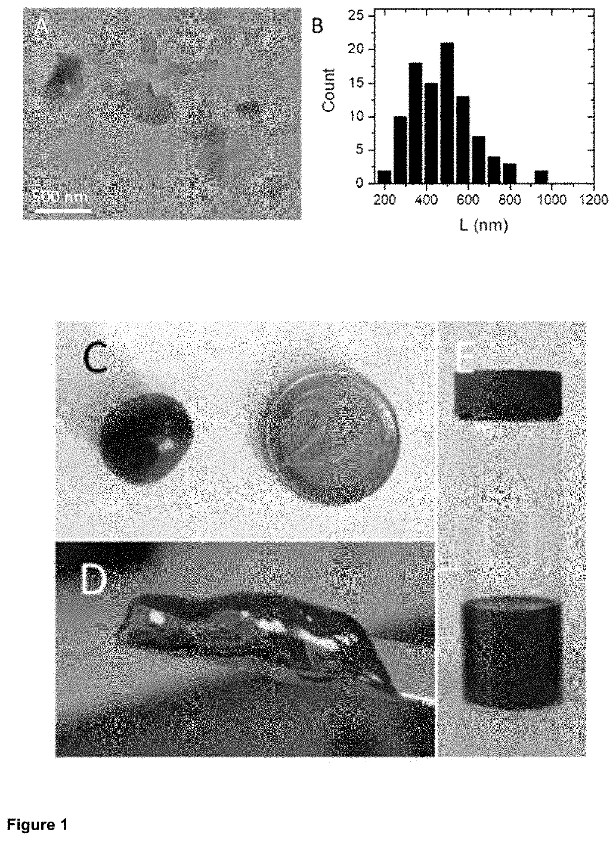 Nanocomposite material and uses thereof