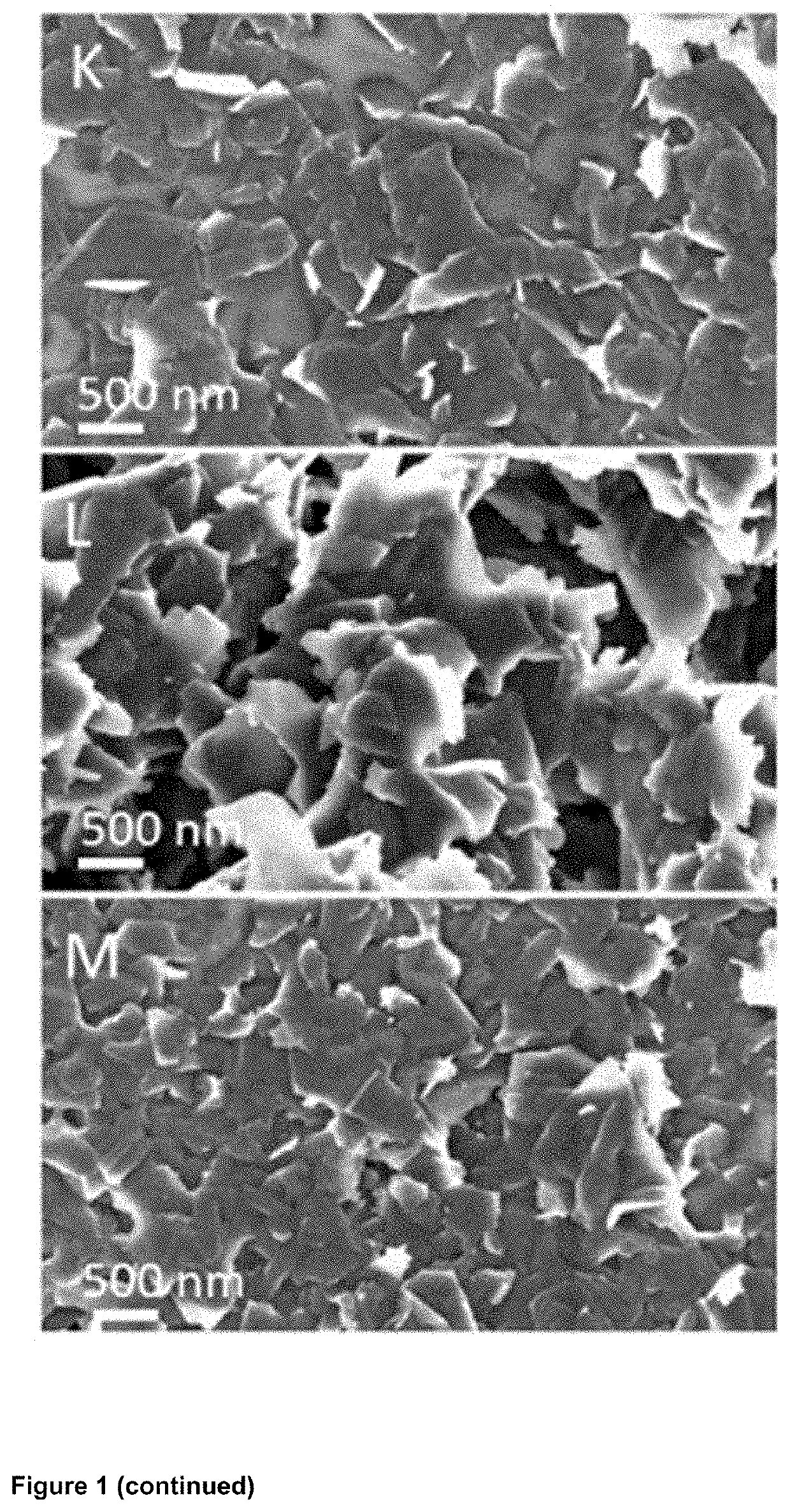 Nanocomposite material and uses thereof