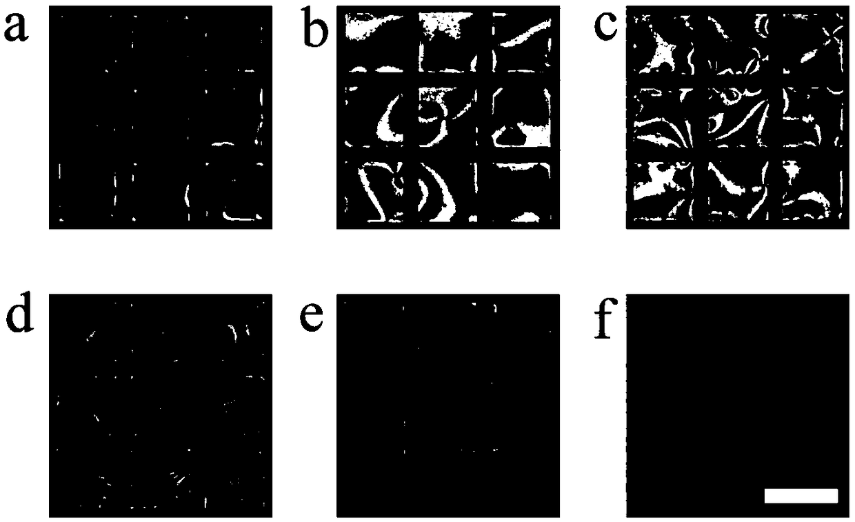 Method for analyzing and detecting L-phenylalanine based on liquid crystal sensor