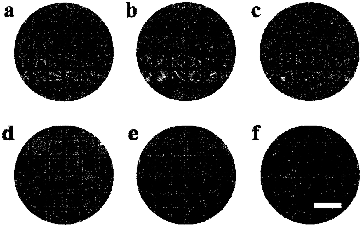 Method for analyzing and detecting L-phenylalanine based on liquid crystal sensor