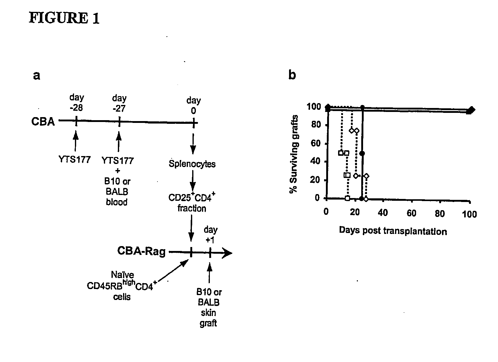 Suppression of transplant rejection