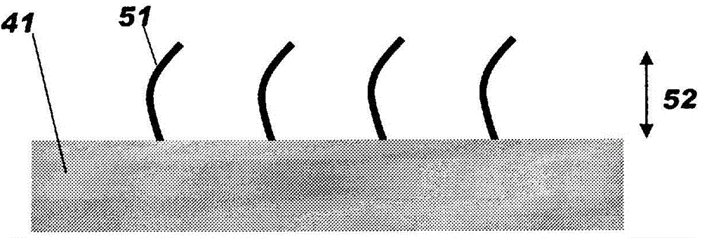 Hollow fiber membrane for blood treatment and hollow fiber membrane-type blood treatment apparatus