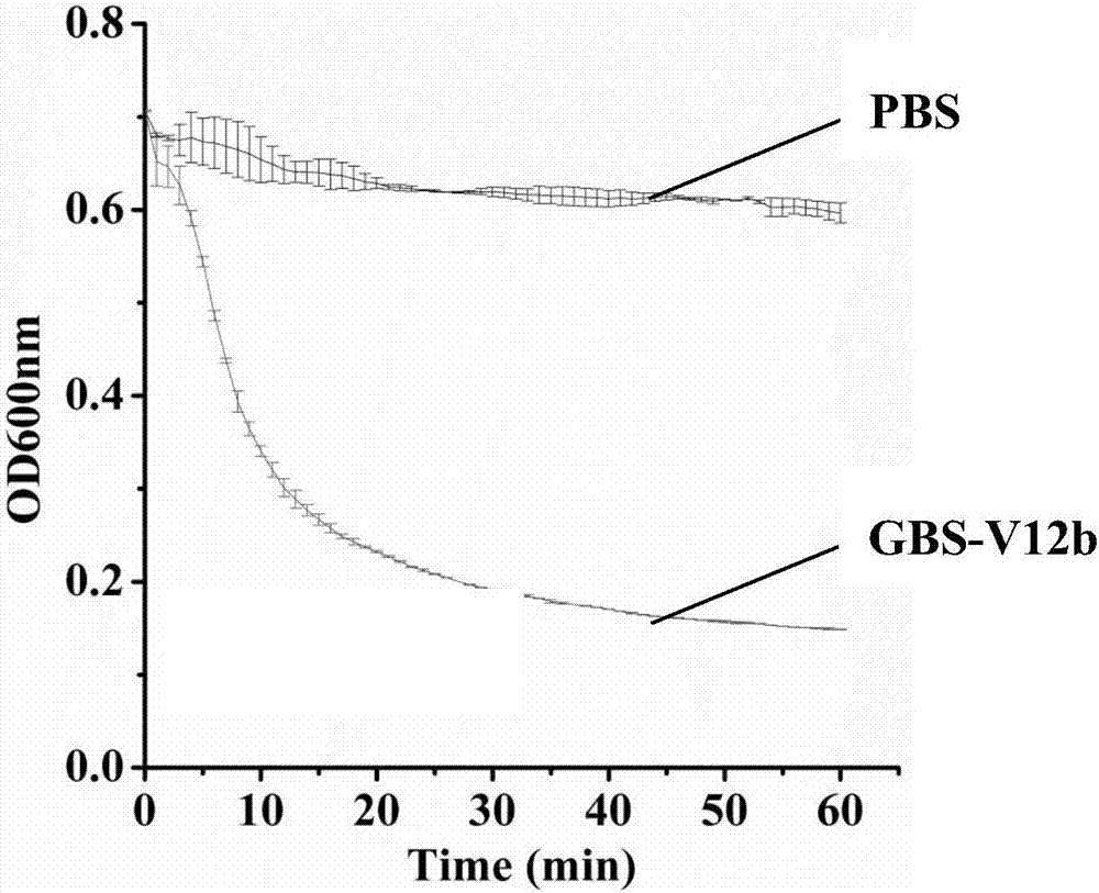 Streptococcus broad-spectrum chimeric lyase GBS-V12b and coding gene and application thereof