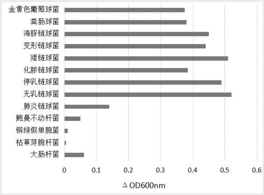 Streptococcus broad-spectrum chimeric lyase GBS-V12b and coding gene and application thereof