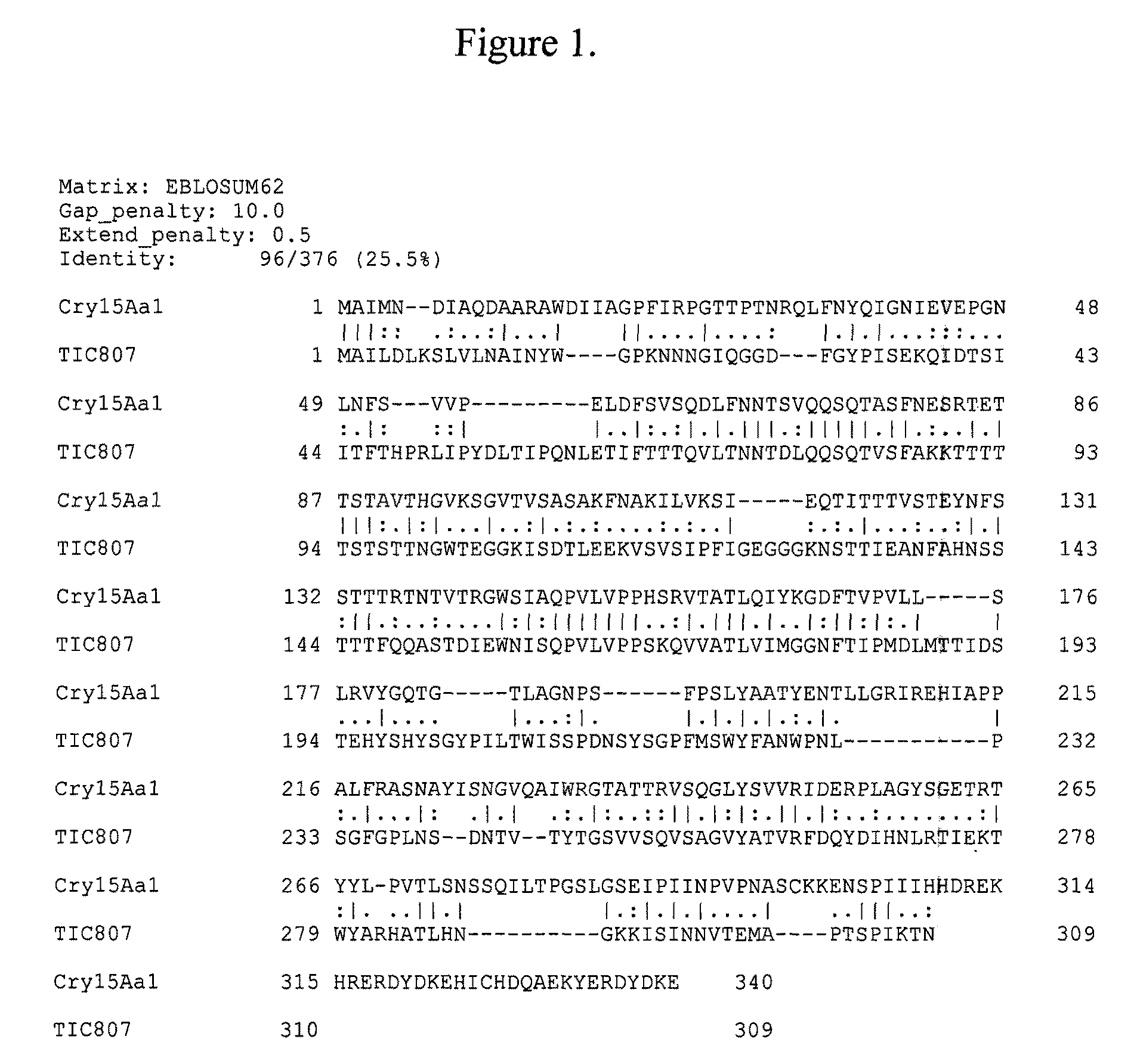 Hemipteran-and coleopteran active toxin proteins from <i>Bacillus thuringiensis </i>