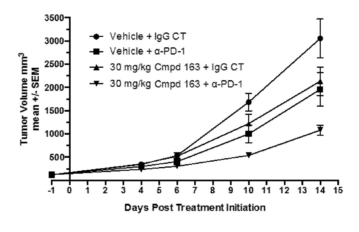 Combination therapy of a hif-2-alpha inhibitor and an immunotherapeutic agent and uses thereof