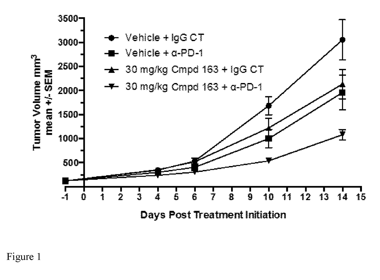 Combination therapy of a hif-2-alpha inhibitor and an immunotherapeutic agent and uses thereof