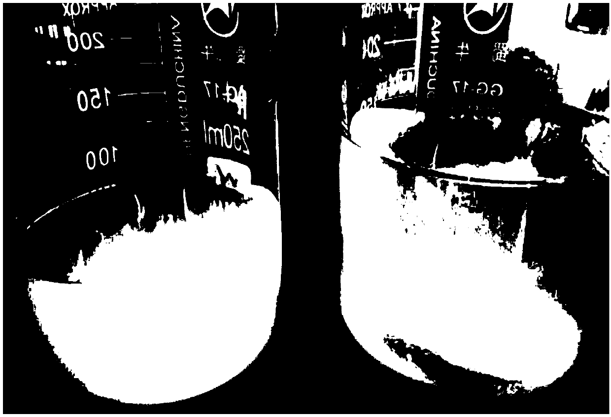 Alteromonas, biological flocculant prepared by utilizing alteromonas and preparation method