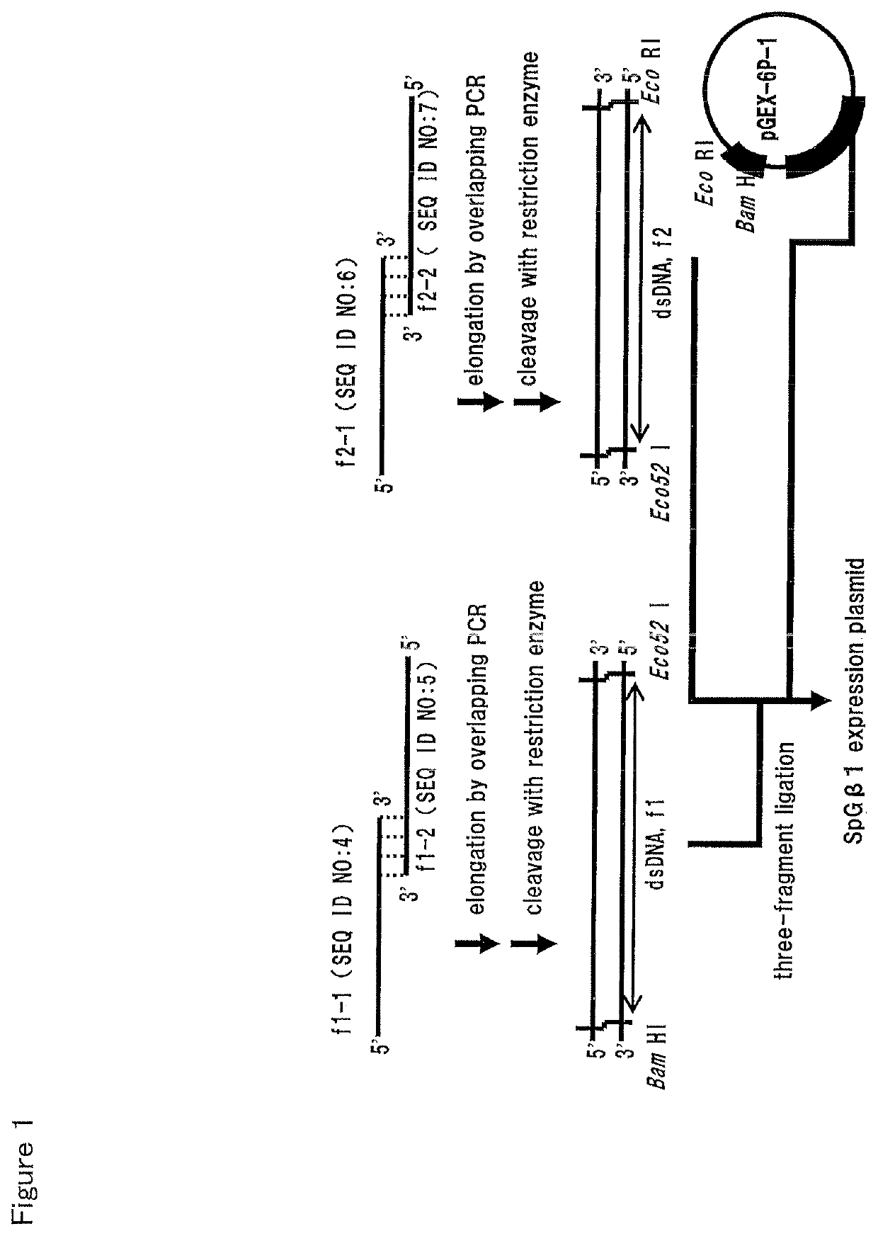 Fab region-binding peptide