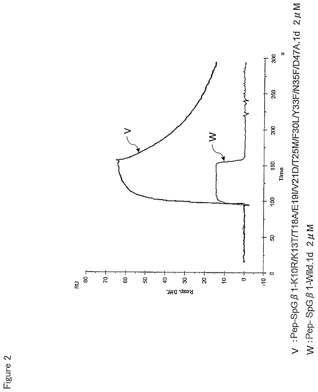 Fab region-binding peptide