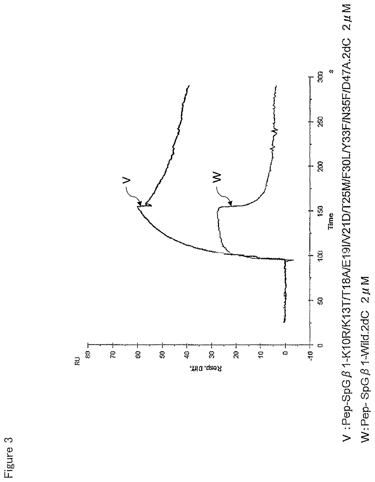 Fab region-binding peptide