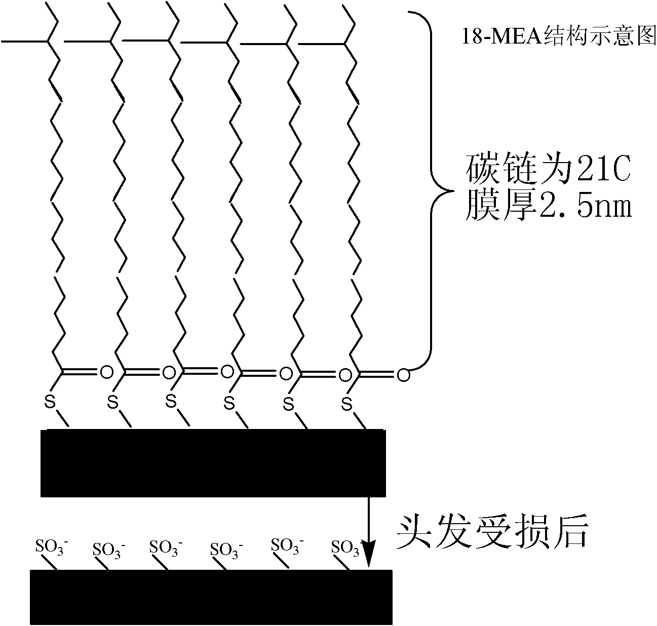 Surface-modified pyridine thioketone salt and application thereof