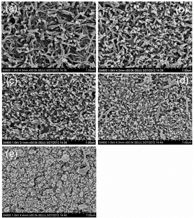 Preparation method of polyaniline nanowire array counter electrode of dye-sensitized solar cell