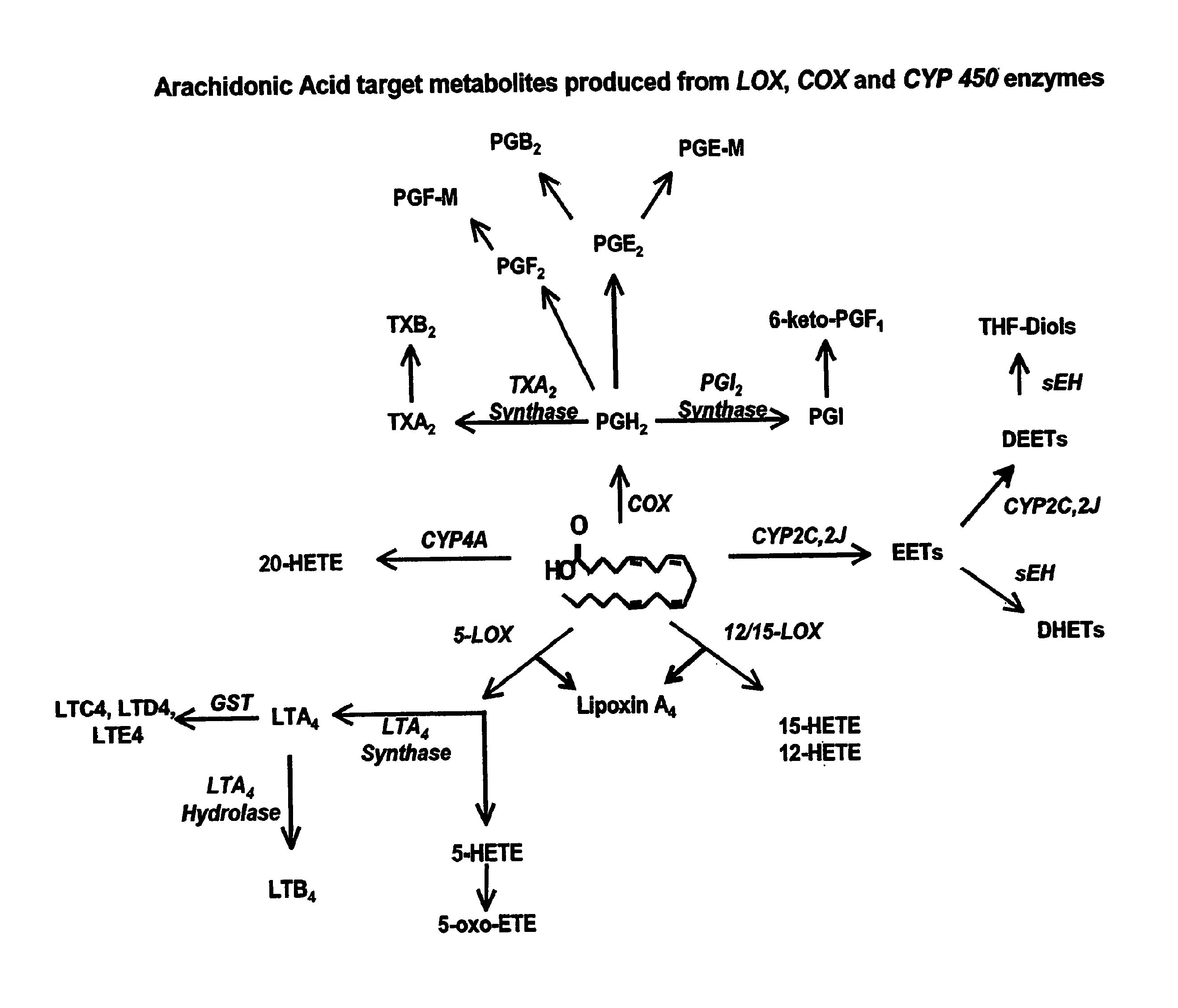 Use of inhibitors of soluble epoxide hydrolase to synergize activity of cox and 5-lox inhibitors