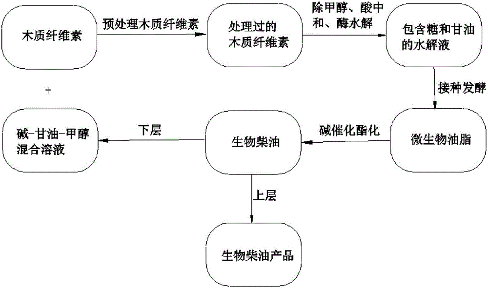 Method for producing biodiesel by means of lignocellulose material