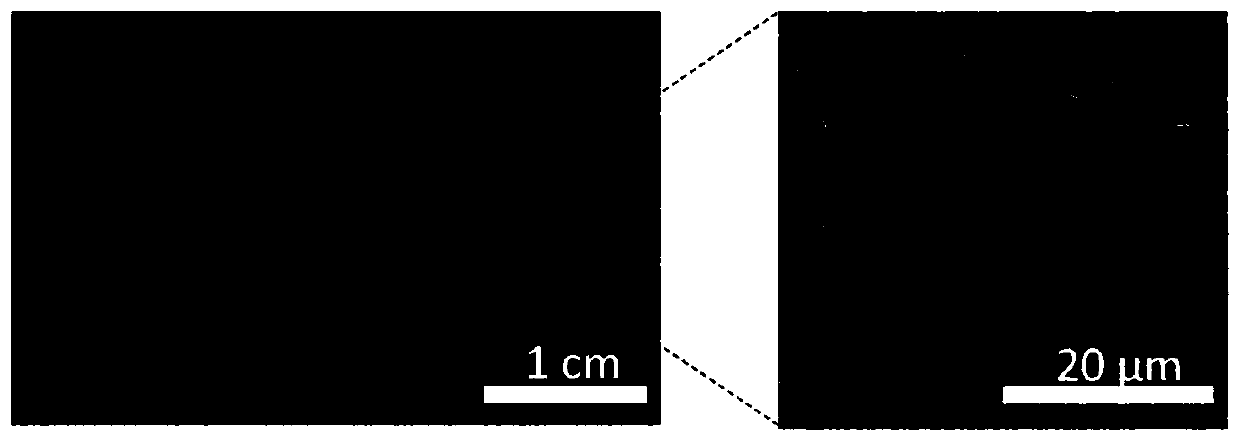 Receiving device for electrospun tissue-engineered blood vessels with nonlinear mechanical properties