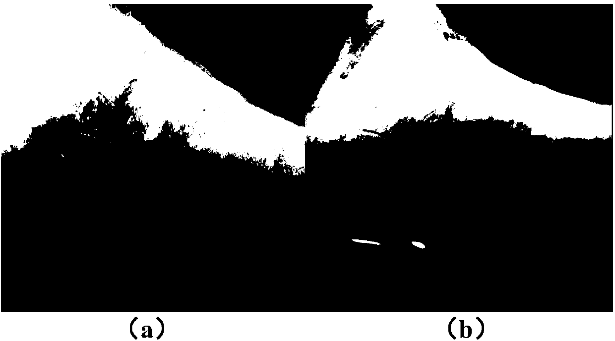 Nanoscale compound antibacterial agent and preparation method and application thereof