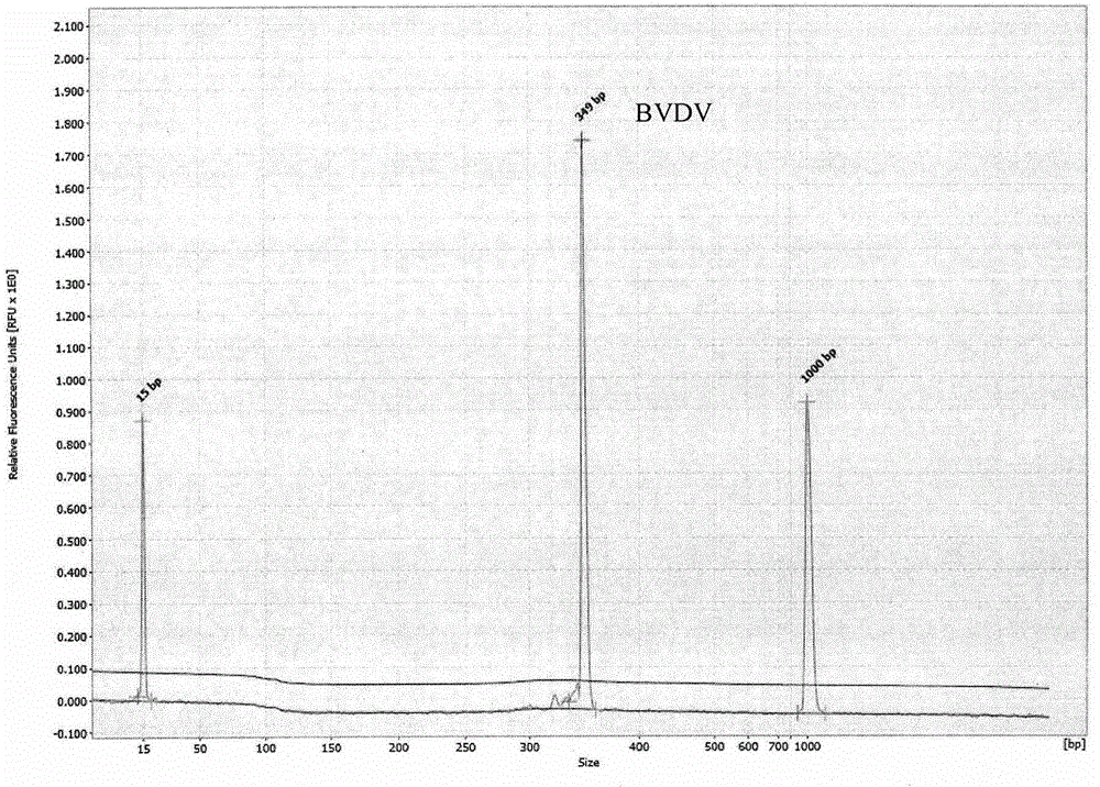 GeXP multi-primers and method for detecting akabane viruses, bovine viral diarrhea viruses and foot and mouth disease viruses