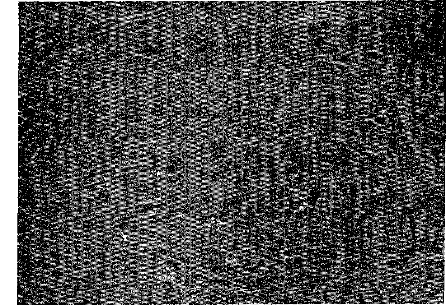 Zooblast culture medium dry powder composition, culture medium composition and preparation method thereof