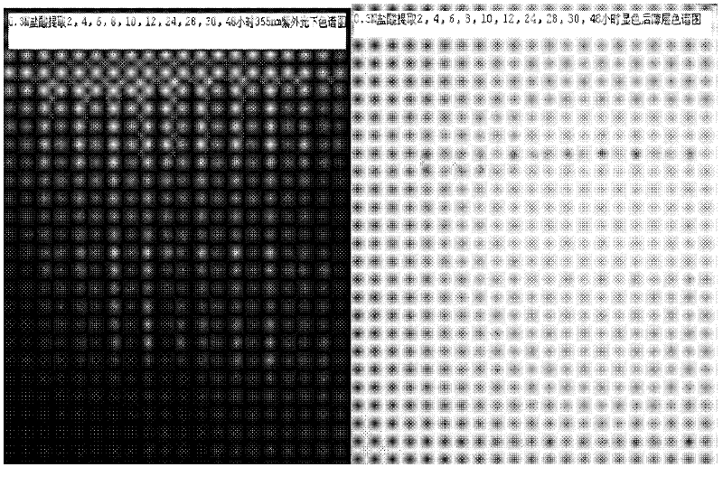 Method for preparing sinomenine hydrochloride slow release injection