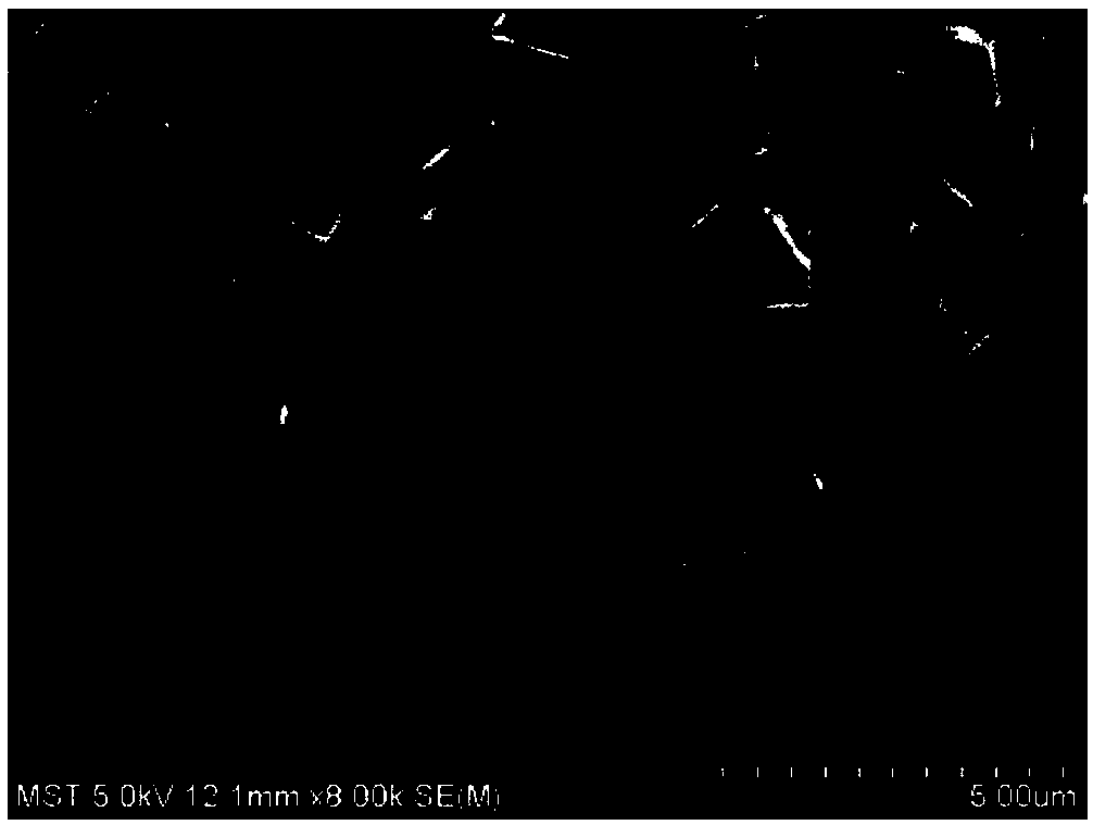 Method for rapidly preparing h0h oriented MFI molecular sieve membrane by microwave heating method