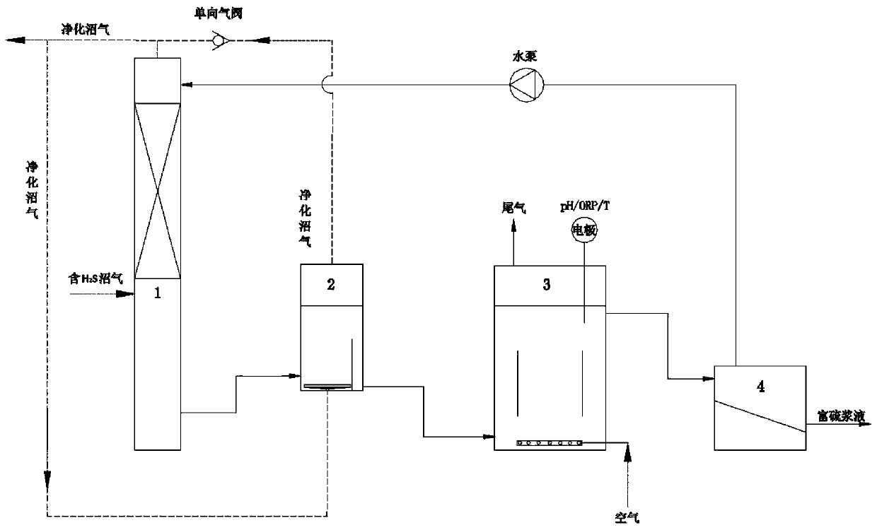 Halophilic alkalophilic biological desulfurizing treatment process and treatment device