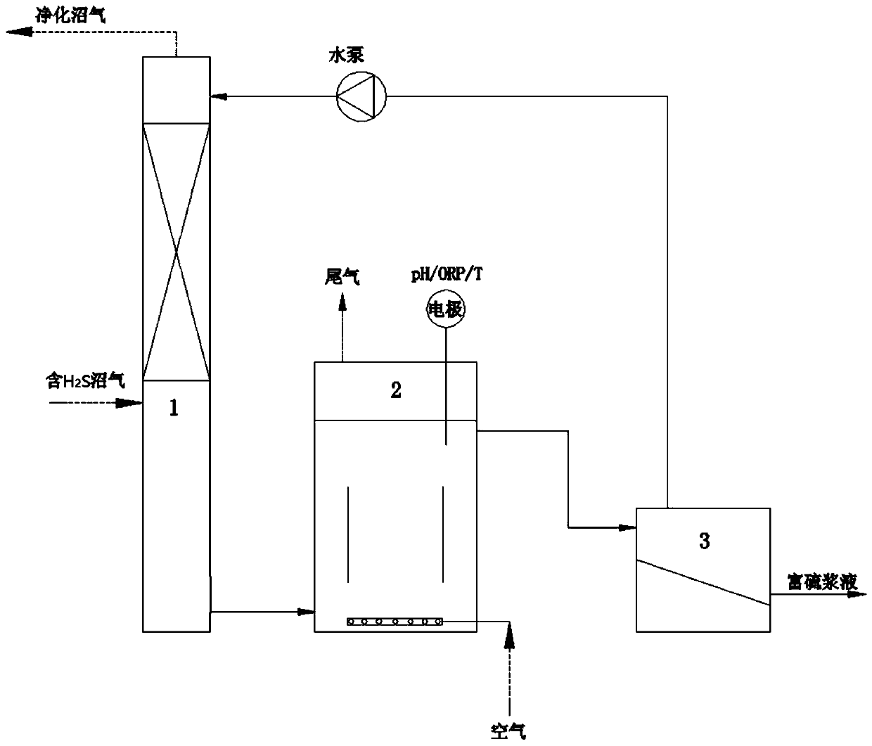 Halophilic alkalophilic biological desulfurizing treatment process and treatment device