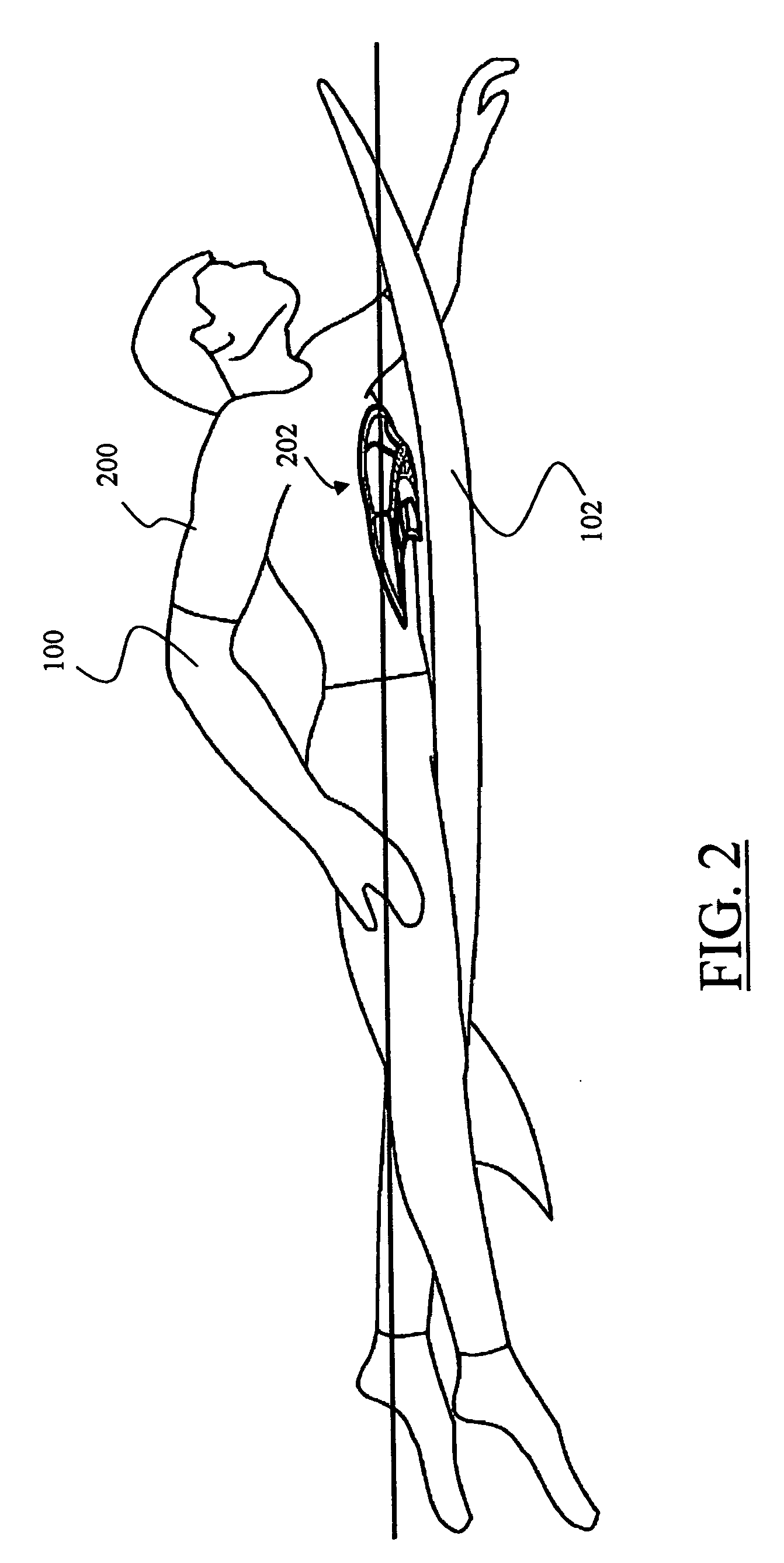 Torso arch support for use in aquatic sports