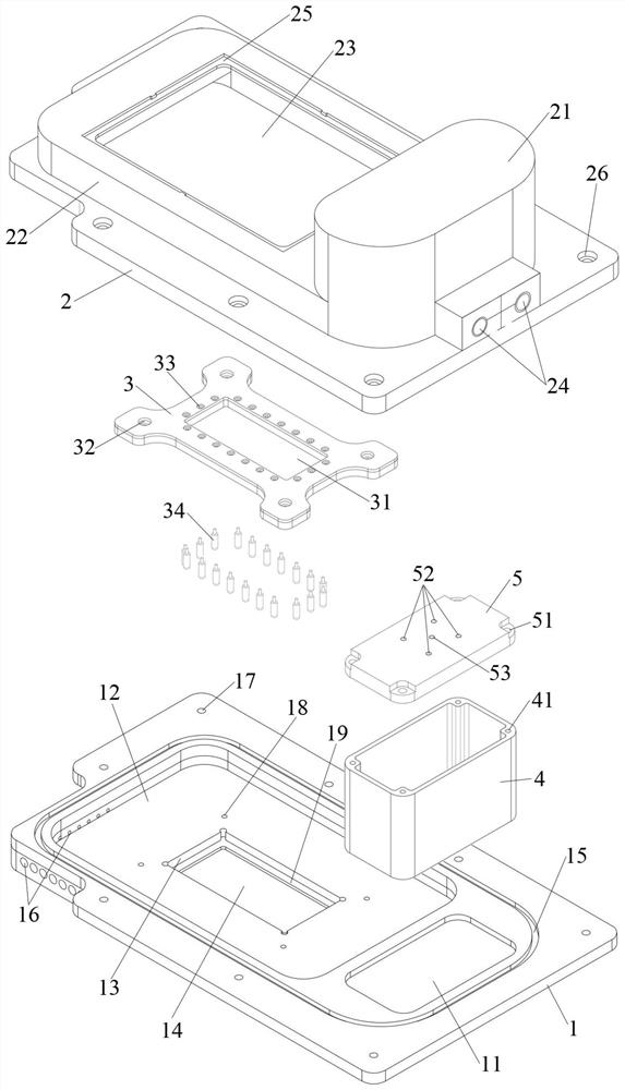 Anaerobic microorganism culture and real-time observation device