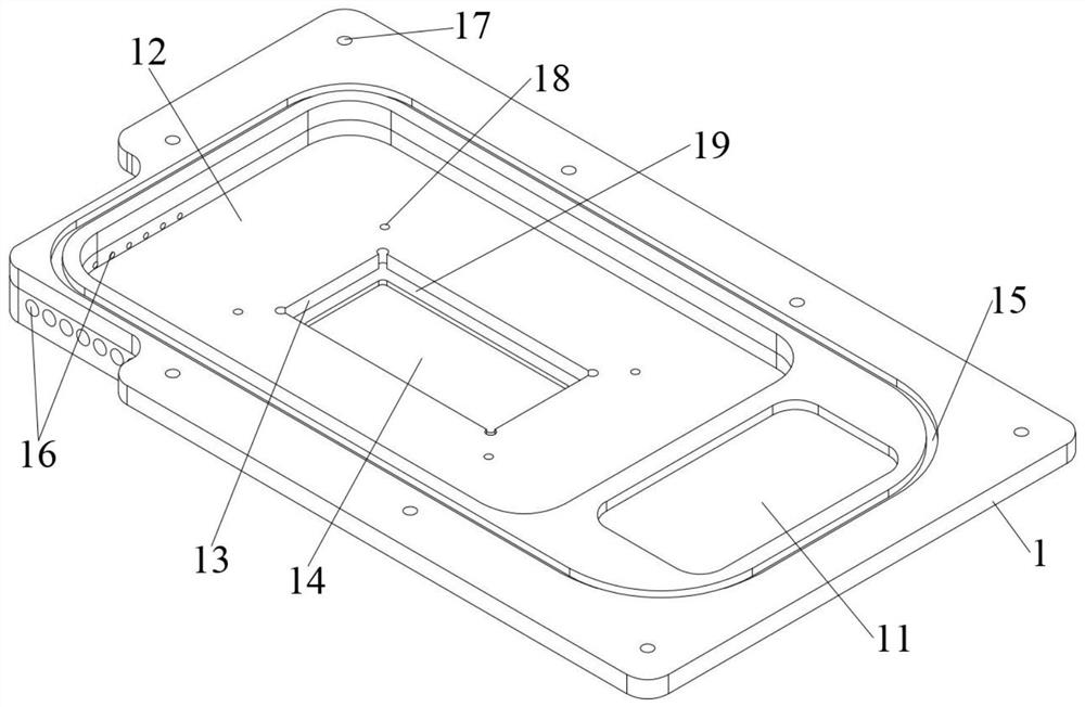 Anaerobic microorganism culture and real-time observation device