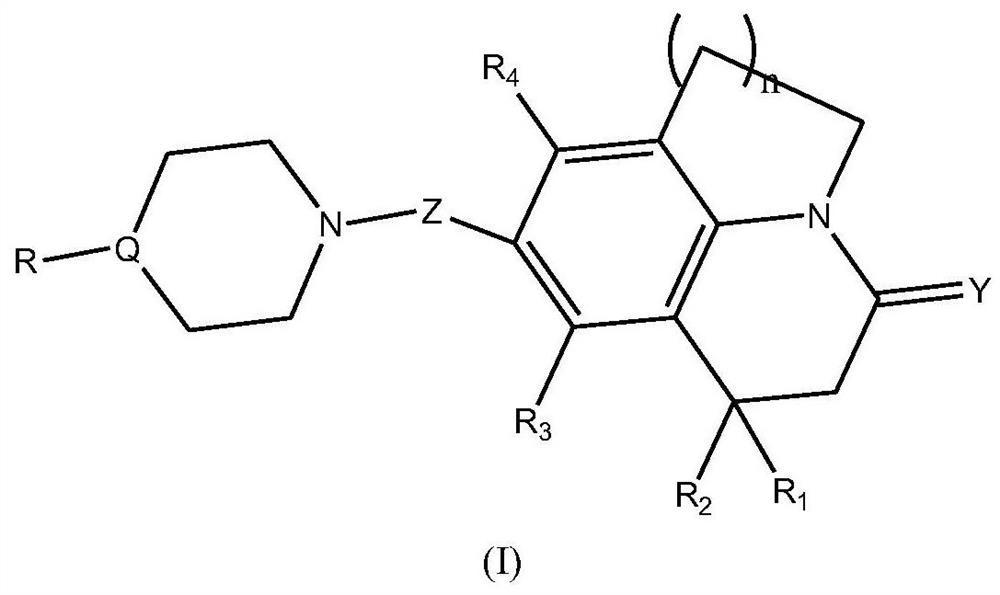 Fused heterocyclic compound derivatives and their applications