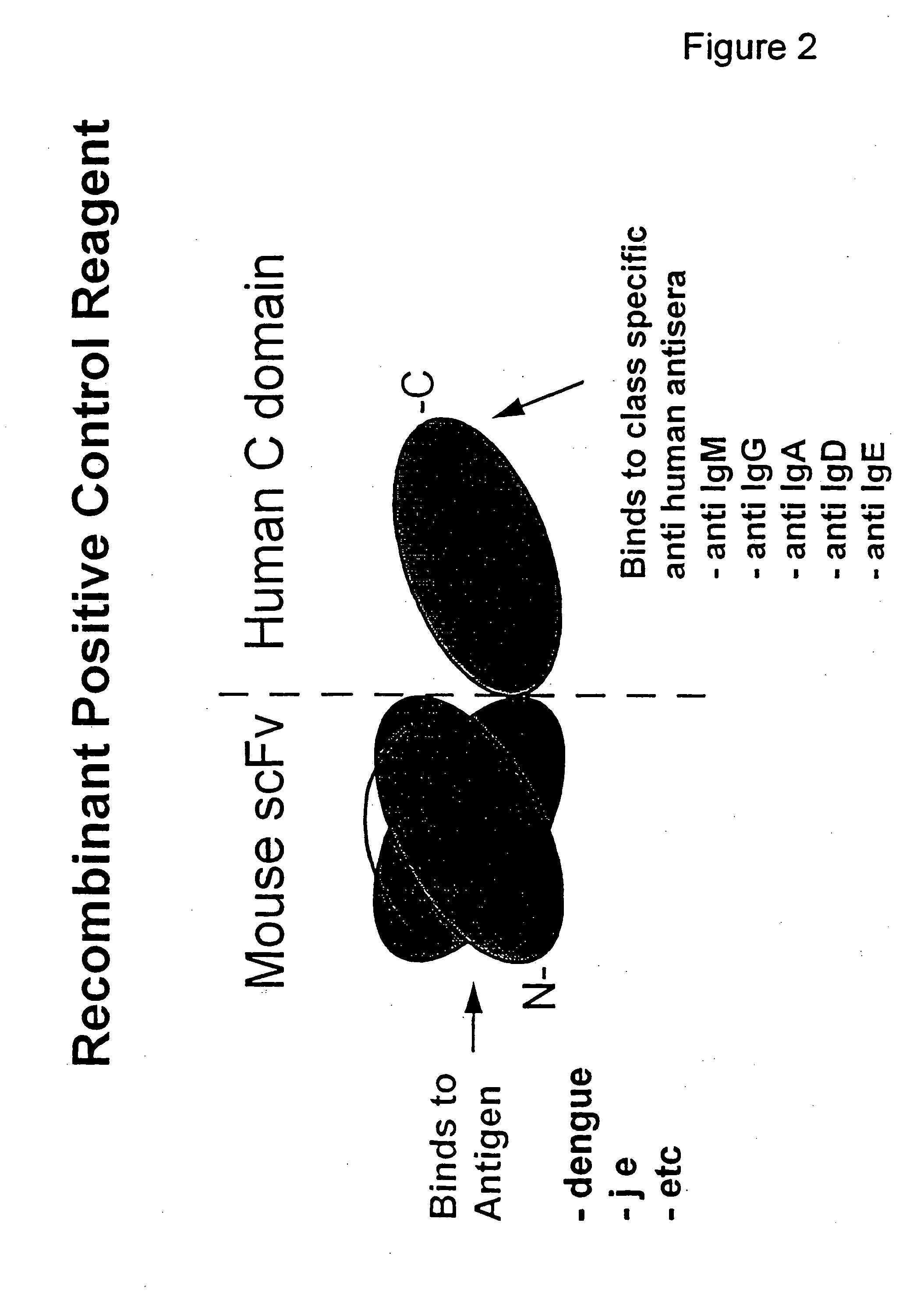 Bifunctional molecules