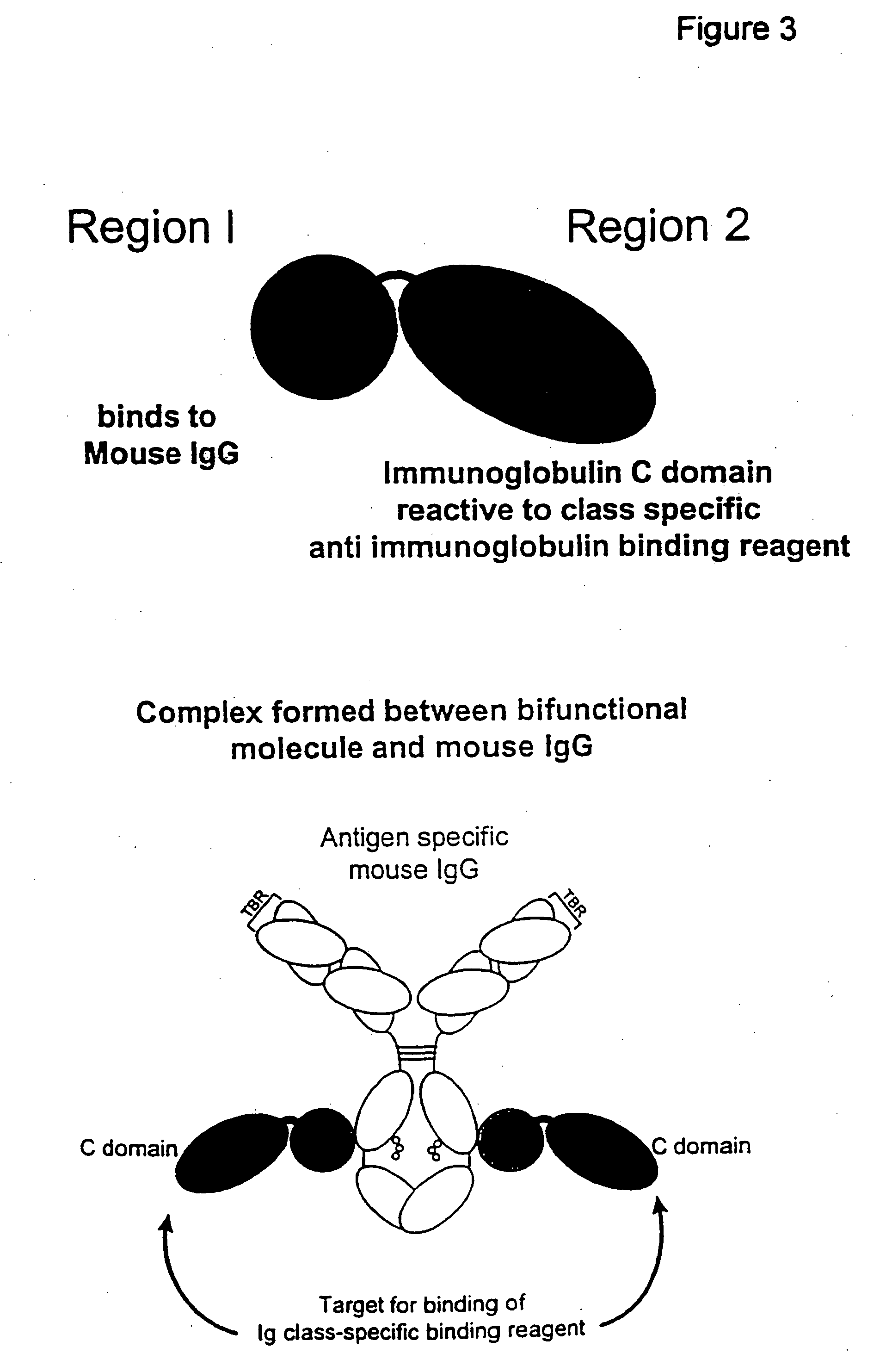 Bifunctional molecules