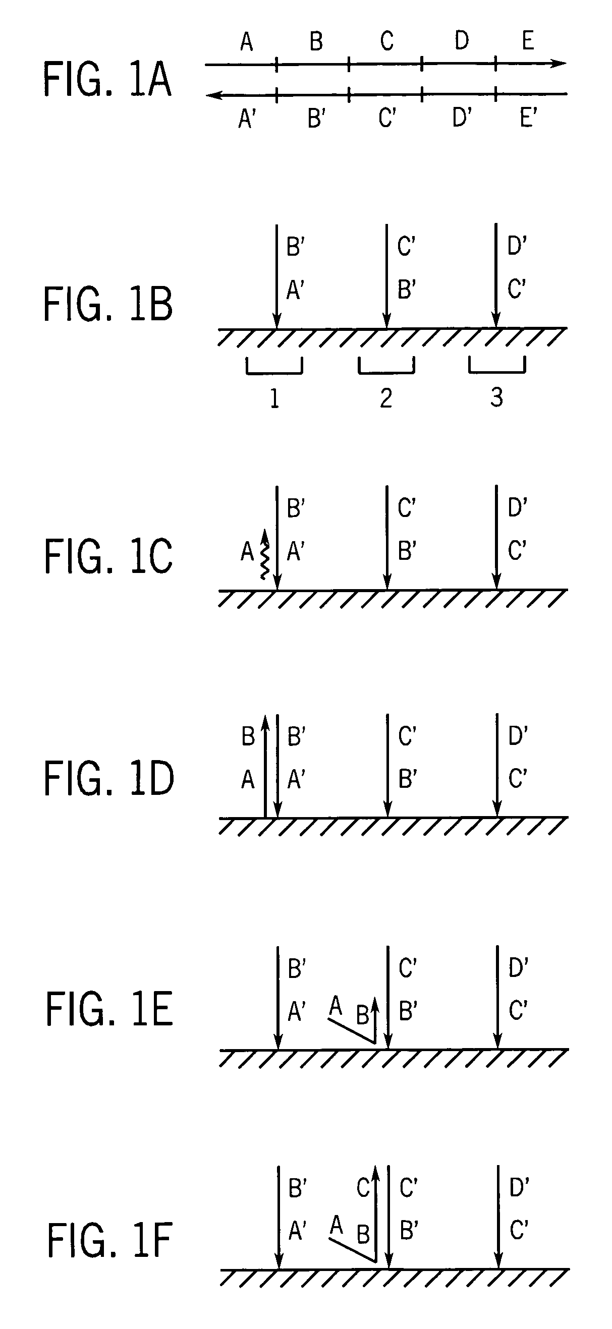 Methods for high fidelity production of long nucleic acid molecules