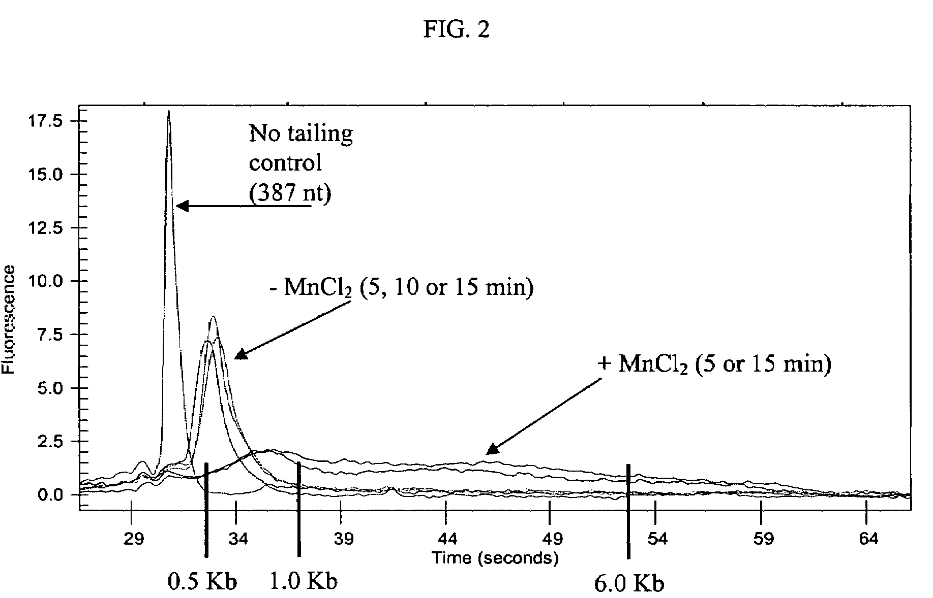 Methods and compositions for tailing and amplifying RNA