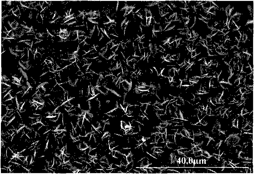 Biological active coating on surface of titanium or titanium alloy and preparation method thereof