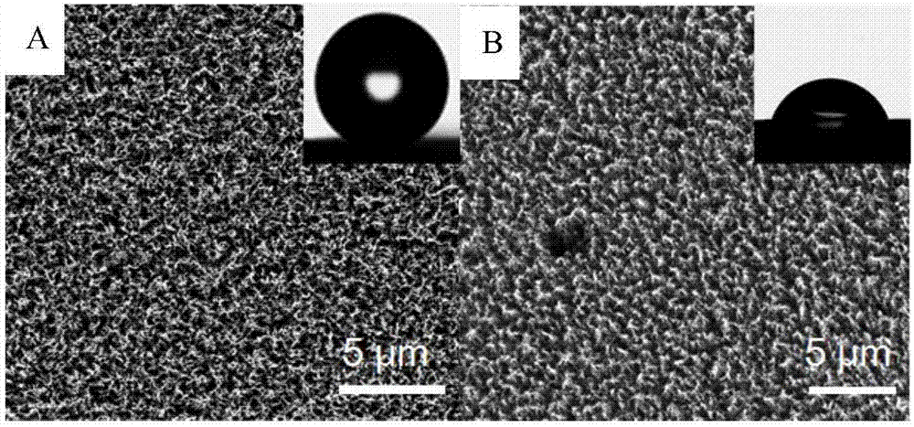 Solar seawater desalination or sewage treatment method based on carbon nano-tube film