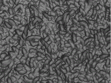 Polycrystalline silicon wafer texturing auxiliary and application method thereof