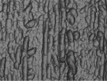 Polycrystalline silicon wafer texturing auxiliary and application method thereof