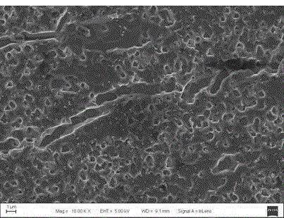 Polycrystalline silicon wafer texturing auxiliary and application method thereof